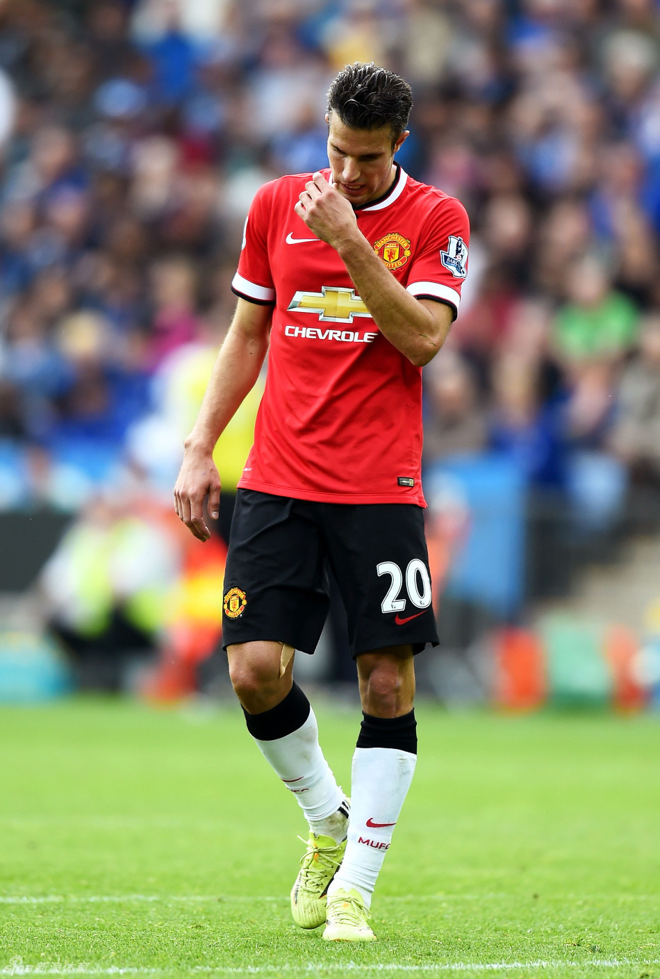 葡萄牙前锋保利尼奥：C罗改变了葡萄牙足球；我想踢世界杯（保利尼奥：C罗改变了葡萄牙足球，我渴望出战世界杯）