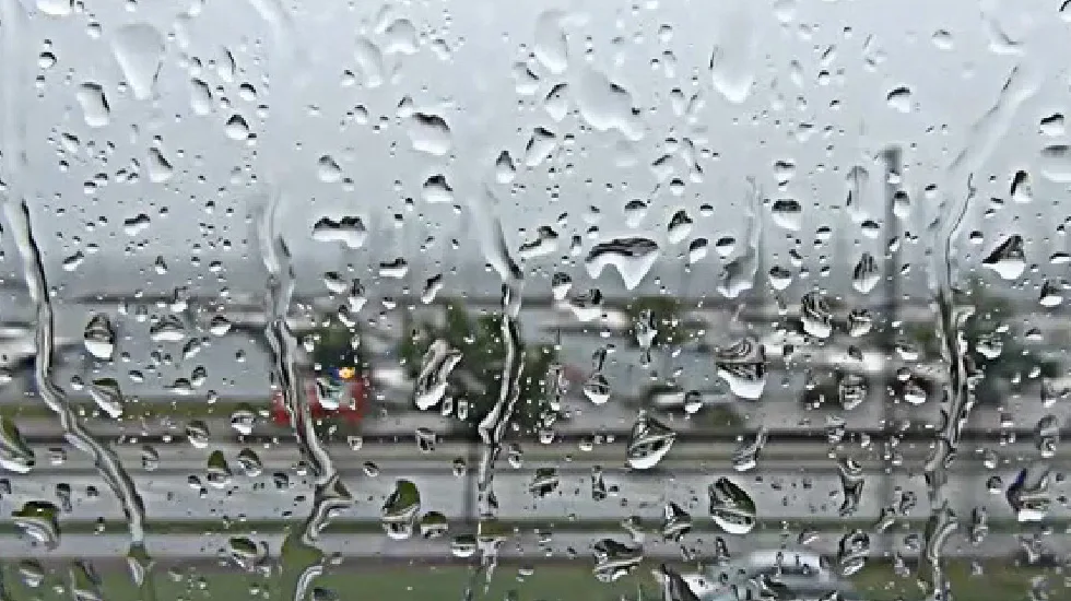 Video Post Format - 多多28